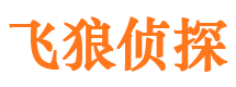 青山飞狼私家侦探公司